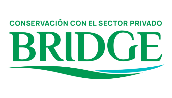 logo-bridge