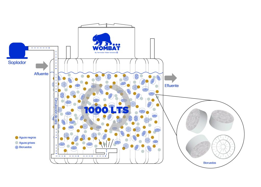 planta-wombat-diagrama-bioruedas